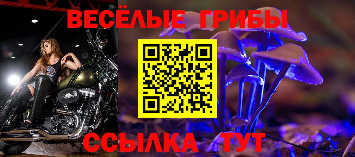 Псилоцибиновые грибы Cubensis Кстово